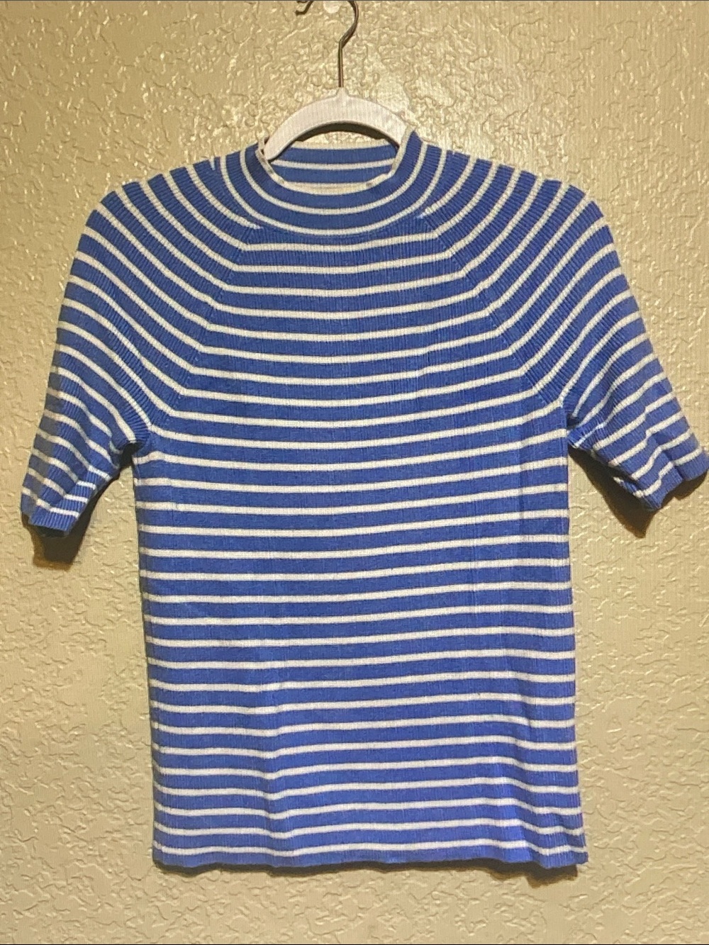 Ann Taylor Blue and White Striped Short Sleeve Top